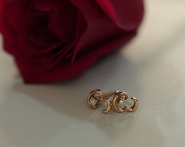 The Crescent Whisper Studs